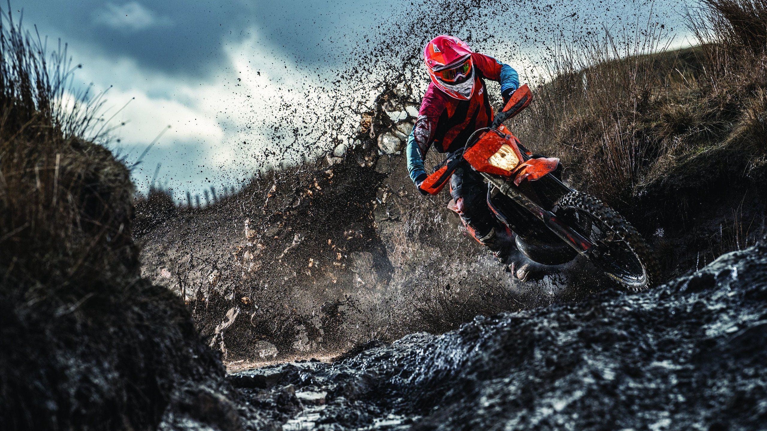 “内线王者:篮下最具统治力的球员”